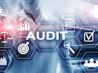 CRA Audit Representation Services in Edmonton